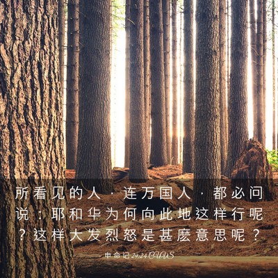 Picture 03 - 申 命 记 29:24 CUVS - 所 看 见 的 人 ， 连 万 国 人 ， 都 - Bible Verse Picture