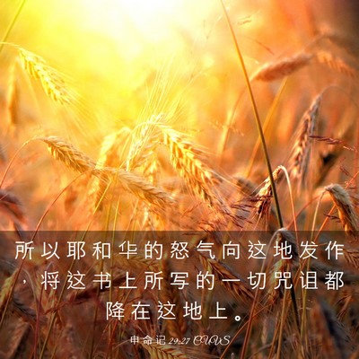 Picture 03 - 申 命 记 29:27 CUVS - 所 以 耶 和 华 的 怒 气 向 这 地 发 - Bible Verse Picture