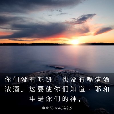 Picture 03 - 申 命 记 29:6 CUVS - 你 们 没 有 吃 饼 ， 也 没 有 喝 清 - Bible Verse Picture