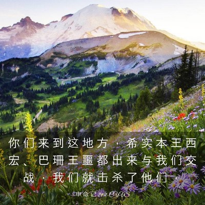 Picture 03 - 申 命 记 29:7 CUVS - 你 们 来 到 这 地 方 ， 希 实 本 王 - Bible Verse Picture