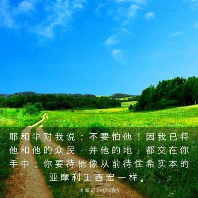 Picture 03 - 申 命 记 3:2 CUVS - 耶 和 华 对 我 说 ： 不 要 怕 他 ！ - Bible Verse Picture