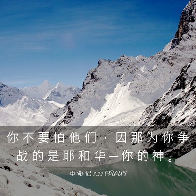 Picture 03 - 申 命 记 3:22 CUVS - 你 不 要 怕 他 们 ， 因 那 为 你 争 - Bible Verse Picture
