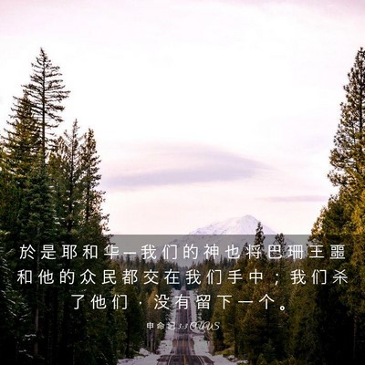 Picture 03 - 申 命 记 3:3 CUVS - 於 是 耶 和 华 ─ 我 们 的 神 也 将 - Bible Verse Picture