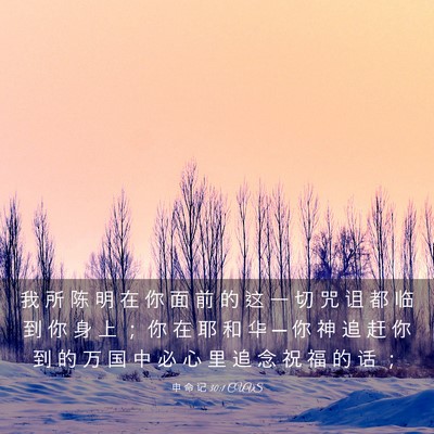 Picture 03 - 申 命 记 30:1 CUVS - 我 所 陈 明 在 你 面 前 的 这 一 切 - Bible Verse Picture