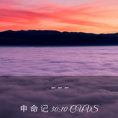 Picture 03 - 申 命 记 30:10 CUVS -  - Bible Verse Picture