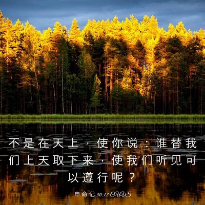 Picture 03 - 申 命 记 30:12 CUVS - 不 是 在 天 上 ， 使 你 说 ： 谁 替 - Bible Verse Picture