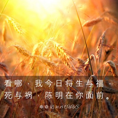 Picture 03 - 申 命 记 30:15 CUVS - 看 哪 ， 我 今 日 将 生 与 福 ， 死 - Bible Verse Picture