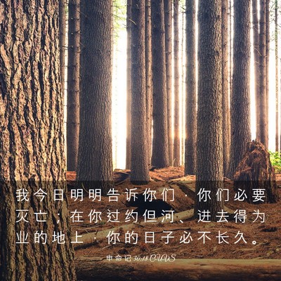 Picture 03 - 申 命 记 30:18 CUVS - 我 今 日 明 明 告 诉 你 们 ， 你 们 - Bible Verse Picture