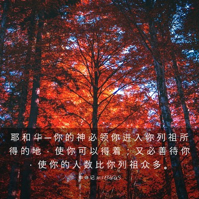Picture 03 - 申 命 记 30:5 CUVS - 耶 和 华 ─ 你 的 神 必 领 你 进 入 - Bible Verse Picture