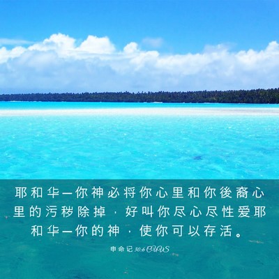 Picture 03 - 申 命 记 30:6 CUVS - 耶 和 华 ─ 你 神 必 将 你 心 里 和 - Bible Verse Picture