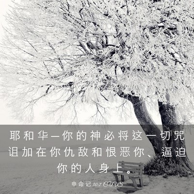Picture 03 - 申 命 记 30:7 CUVS - 耶 和 华 ─ 你 的 神 必 将 这 一 切 - Bible Verse Picture