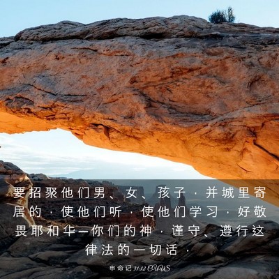 Picture 03 - 申 命 记 31:12 CUVS - 要 招 聚 他 们 男 、 女 、 孩 子 ， - Bible Verse Picture