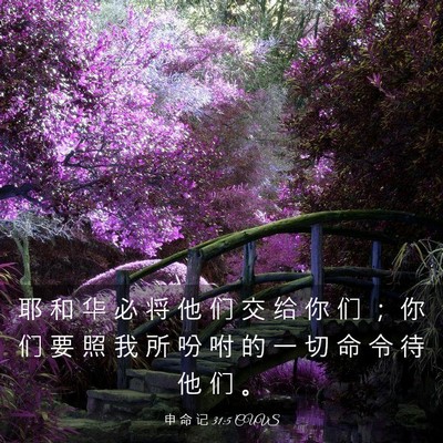 Picture 03 - 申 命 记 31:5 CUVS - 耶 和 华 必 将 他 们 交 给 你 们 ； - Bible Verse Picture