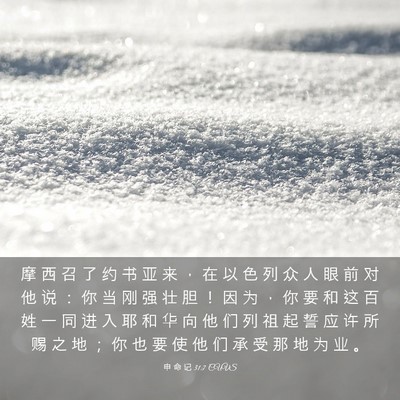Picture 03 - 申 命 记 31:7 CUVS - 摩 西 召 了 约 书 亚 来 ， 在 以 色 - Bible Verse Picture