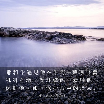 Picture 03 - 申 命 记 32:10 CUVS - 耶 和 华 遇 见 他 在 旷 野 ─ 荒 凉 - Bible Verse Picture