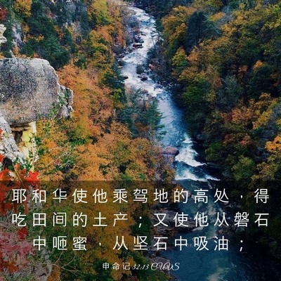 Picture 03 - 申 命 记 32:13 CUVS - 耶 和 华 使 他 乘 驾 地 的 高 处 ， - Bible Verse Picture