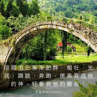 Picture 03 - 申 命 记 32:15 CUVS - 但 耶 书 仑 渐 渐 肥 胖 ， 粗 壮 ， - Bible Verse Picture