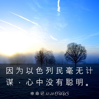 Picture 03 - 申 命 记 32:28 CUVS - 因 为 以 色 列 民 毫 无 计 谋 ， 心 - Bible Verse Picture
