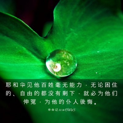 Picture 03 - 申 命 记 32:36 CUVS - 耶 和 华 见 他 百 姓 毫 无 能 力 ， - Bible Verse Picture