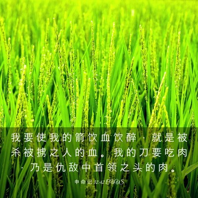 Picture 03 - 申 命 记 32:42 CUVS - 我 要 使 我 的 箭 饮 血 饮 醉 ， 就 - Bible Verse Picture