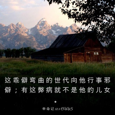 Picture 03 - 申 命 记 32:5 CUVS - 这 乖 僻 弯 曲 的 世 代 向 他 行 事 - Bible Verse Picture
