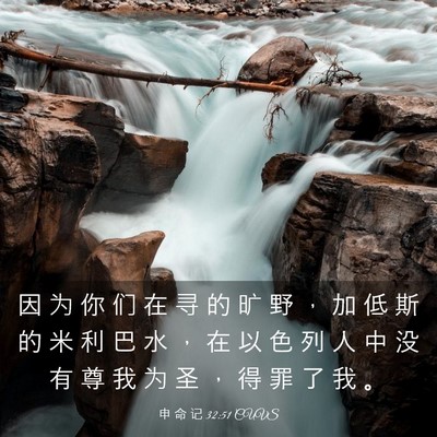 Picture 03 - 申 命 记 32:51 CUVS - 因 为 你 们 在 寻 的 旷 野 ， 加 低 - Bible Verse Picture
