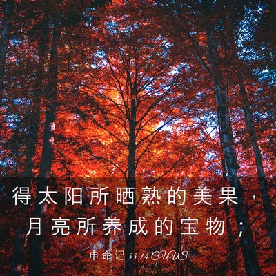 Picture 03 - 申 命 记 33:14 CUVS - 得 太 阳 所 晒 熟 的 美 果 ， 月 亮 - Bible Verse Picture