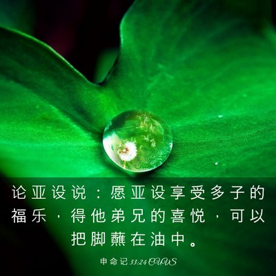 Picture 03 - 申 命 记 33:24 CUVS - 论 亚 设 说 ： 愿 亚 设 享 受 多 子 - Bible Verse Picture