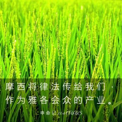 Picture 03 - 申 命 记 33:4 CUVS - 摩 西 将 律 法 传 给 我 们 ， 作 为 - Bible Verse Picture