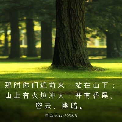 Picture 03 - 申 命 记 4:11 CUVS - 那 时 你 们 近 前 来 ， 站 在 山 下 - Bible Verse Picture
