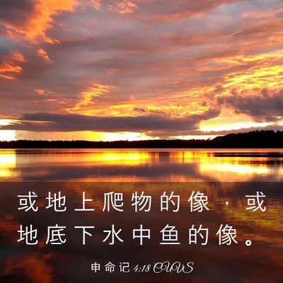 Picture 03 - 申 命 记 4:18 CUVS - 或 地 上 爬 物 的 像 ， 或 地 底 下 - Bible Verse Picture
