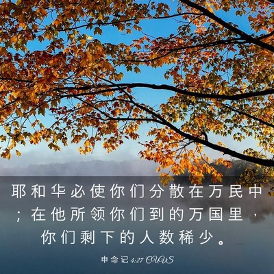 Picture 03 - 申 命 记 4:27 CUVS - 耶 和 华 必 使 你 们 分 散 在 万 民 - Bible Verse Picture