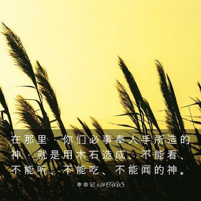 Picture 03 - 申 命 记 4:28 CUVS - 在 那 里 ， 你 们 必 事 奉 人 手 所 - Bible Verse Picture