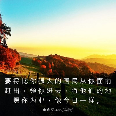Picture 03 - 申 命 记 4:38 CUVS - 要 将 比 你 强 大 的 国 民 从 你 面 - Bible Verse Picture