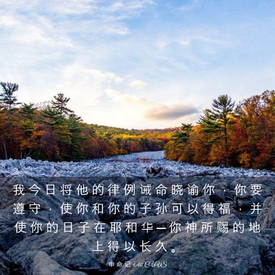 Picture 03 - 申 命 记 4:40 CUVS - 我 今 日 将 他 的 律 例 诫 命 晓 谕 - Bible Verse Picture
