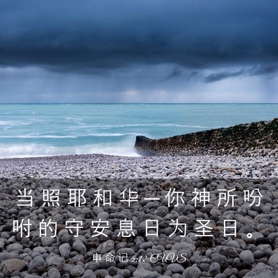 Picture 03 - 申 命 记 5:12 CUVS - 当 照 耶 和 华 ─ 你 神 所 吩 咐 的 - Bible Verse Picture