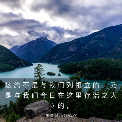 Picture 03 - 申 命 记 5:3 CUVS - 这 约 不 是 与 我 们 列 祖 立 的 ， - Bible Verse Picture