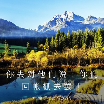 Picture 03 - 申 命 记 5:30 CUVS - 你 去 对 他 们 说 ： 你 们 回 帐 棚 - Bible Verse Picture