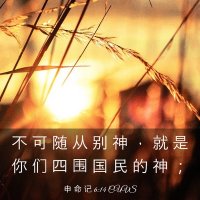 Picture 03 - 申 命 记 6:14 CUVS - 不 可 随 从 别 神 ， 就 是 你 们 四 - Bible Verse Picture