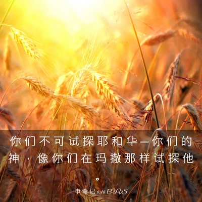 Picture 03 - 申 命 记 6:16 CUVS - 你 们 不 可 试 探 耶 和 华 ─ 你 们 - Bible Verse Picture