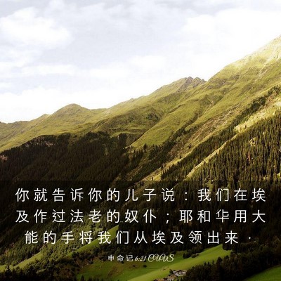 Picture 03 - 申 命 记 6:21 CUVS - 你 就 告 诉 你 的 儿 子 说 ： 我 们 - Bible Verse Picture