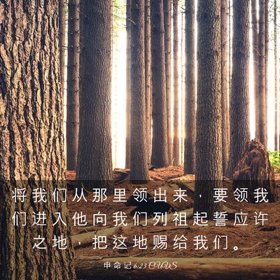 Picture 03 - 申 命 记 6:23 CUVS - 将 我 们 从 那 里 领 出 来 ， 要 领 - Bible Verse Picture