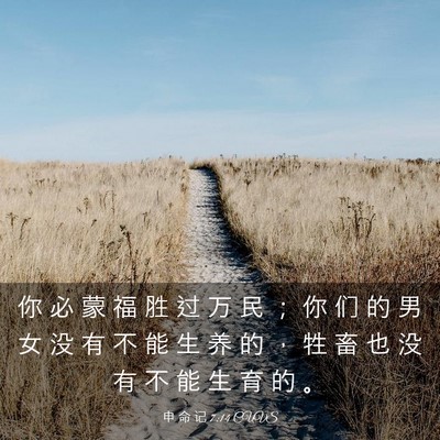 Picture 03 - 申 命 记 7:14 CUVS - 你 必 蒙 福 胜 过 万 民 ； 你 们 的 - Bible Verse Picture