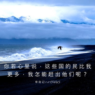 Picture 03 - 申 命 记 7:17 CUVS - 你 若 心 里 说 ， 这 些 国 的 民 比 - Bible Verse Picture