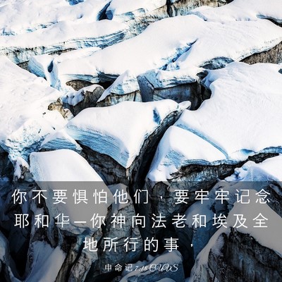 Picture 03 - 申 命 记 7:18 CUVS - 你 不 要 惧 怕 他 们 ， 要 牢 牢 记 - Bible Verse Picture