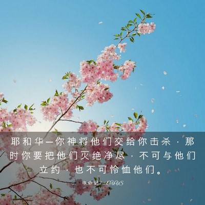 Picture 03 - 申 命 记 7:2 CUVS - 耶 和 华 ─ 你 神 将 他 们 交 给 你 - Bible Verse Picture