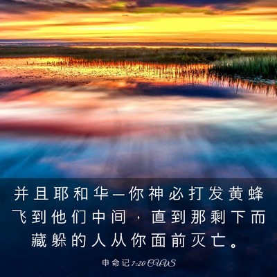 Picture 03 - 申 命 记 7:20 CUVS - 并 且 耶 和 华 ─ 你 神 必 打 发 黄 - Bible Verse Picture