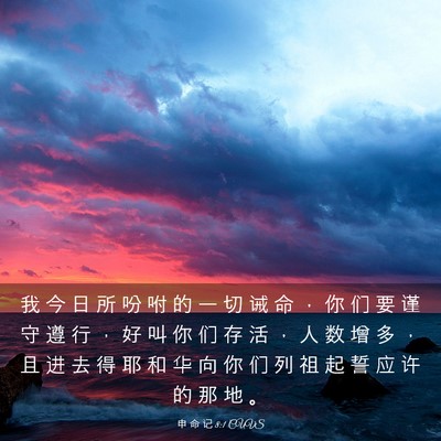 Picture 03 - 申 命 记 8:1 CUVS - 我 今 日 所 吩 咐 的 一 切 诫 命 ， - Bible Verse Picture