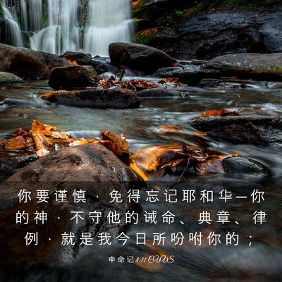 Picture 03 - 申 命 记 8:11 CUVS - 你 要 谨 慎 ， 免 得 忘 记 耶 和 华 - Bible Verse Picture