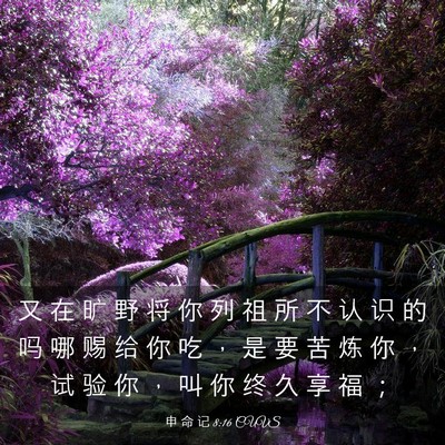 Picture 03 - 申 命 记 8:16 CUVS - 又 在 旷 野 将 你 列 祖 所 不 认 识 - Bible Verse Picture